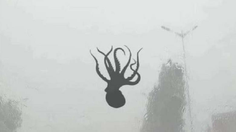 ڤيديۆ.. له‌ چين ورده‌ماسى و هه‌شتپێ ده‌بارن